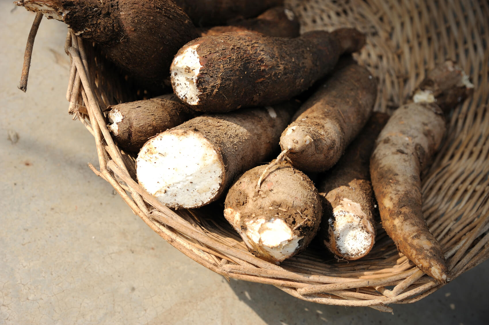 Wigmore Trading Company Nigeria s Leading Agri Business Wigmore Trading Company Nigeria s Leading Agri Business