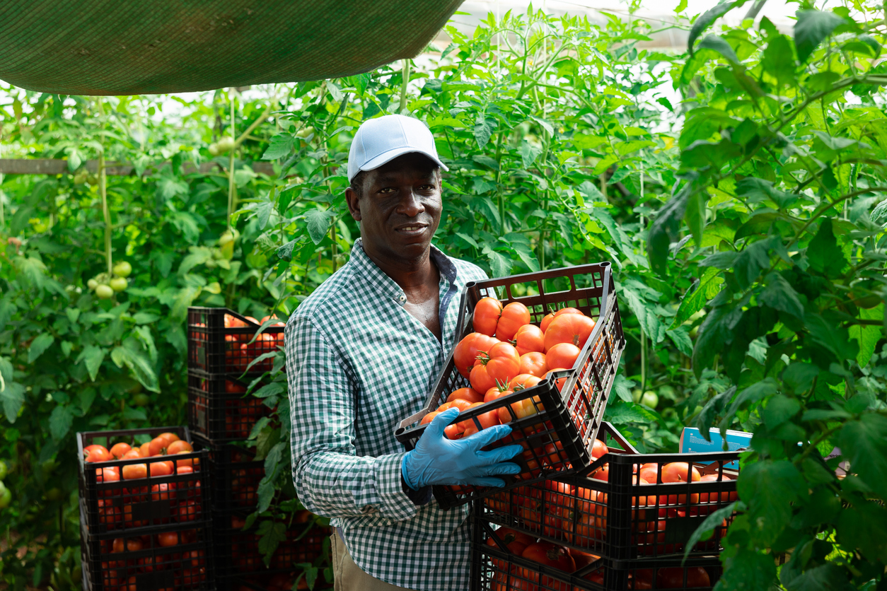 Top 20 Nigerian Agricultural Export Produce Top 20 Nigerian Agricultural Export Produce