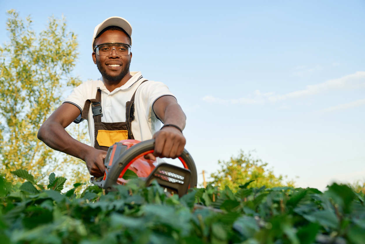 The Gardener